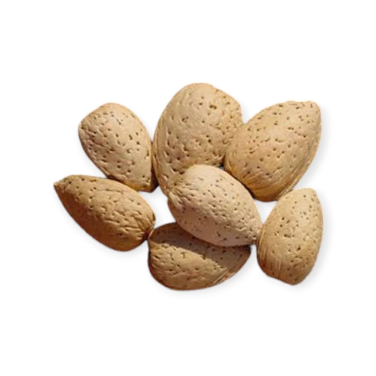 KATA BADAM SABUT (250GM)